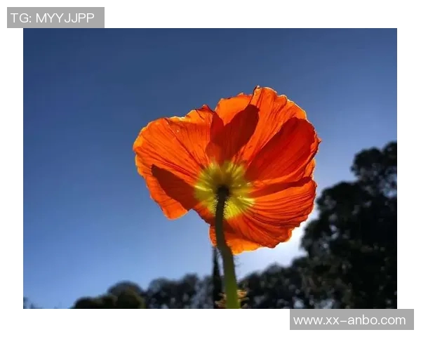 法夫尔回顾往事拒绝拜仁感慨人生匆匆已步入68岁人生阶段